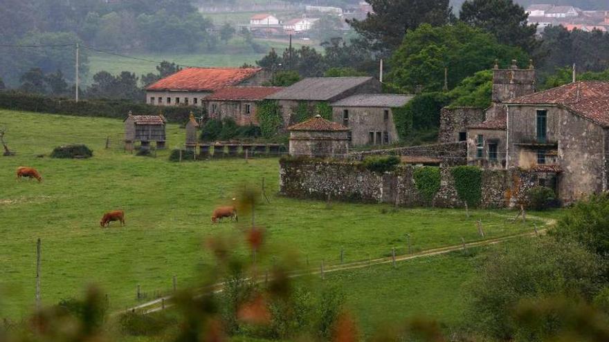 El castro se sitúa en el entorno del Pazo de Preguecido. // Bernabé/Cris M.V.