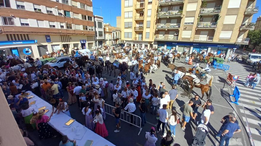 Varios caballos heridos en un atropello con fuga en Almassora