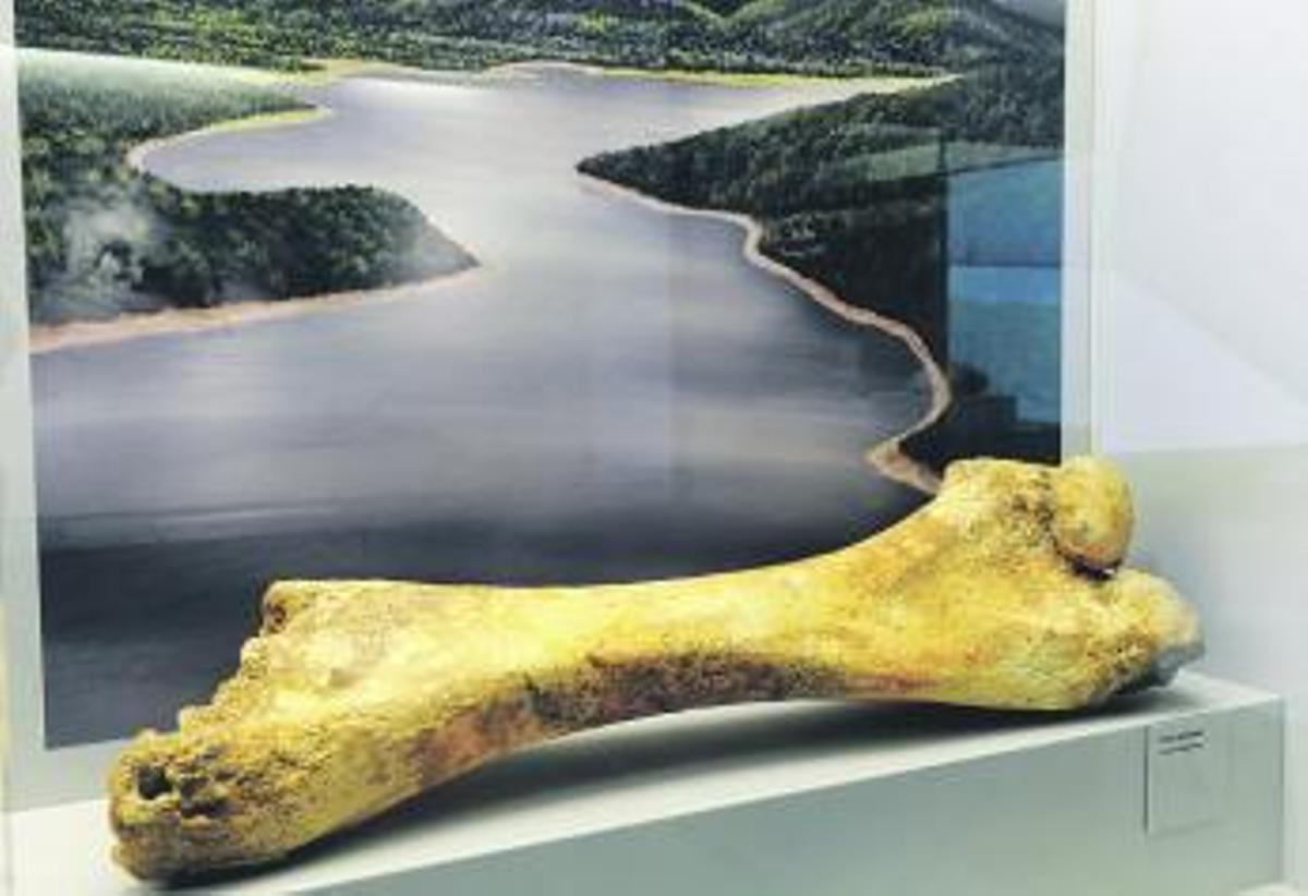 Maestros de la artesanía que miraban al cielo