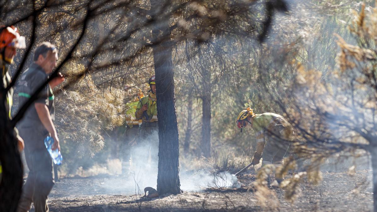 Un operativo apagando el incendio de nivel 1 en Cuéllar (Segovia)