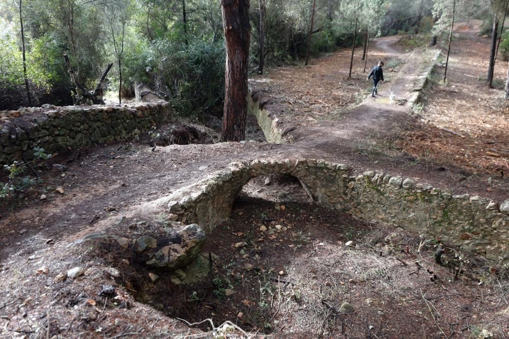 La fuente que alimentaba el canal de Fruitera y los huertos cercanos a Santa Gertrudis vuelve a estar a la vista