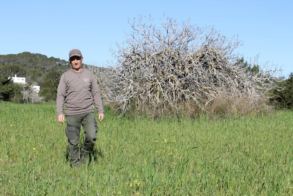 Cazar, pero también proteger y cuidar el campo