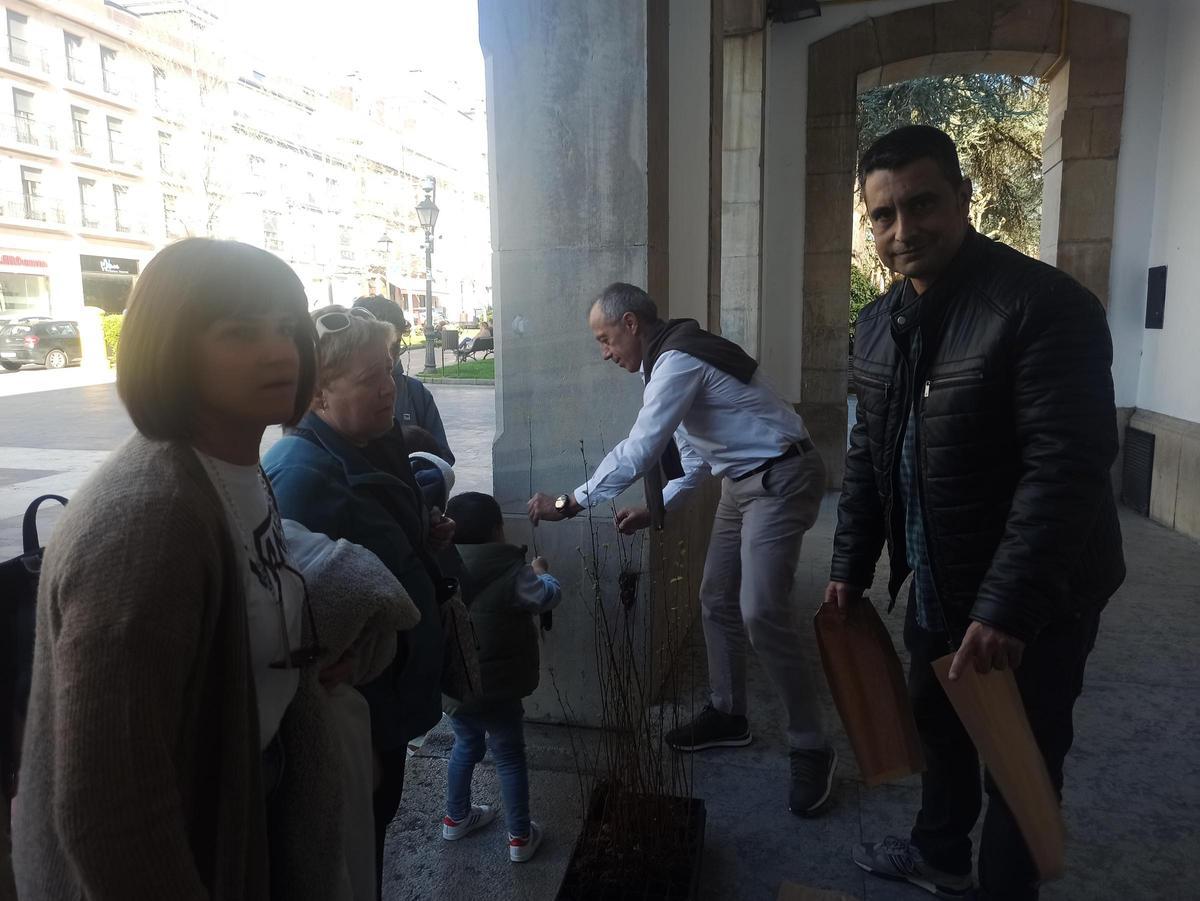 Árboles para la huerta, para cerrar una finca o para replantar en el monte en Siero: así son los usos que dan los vecinos a los plantones repartidos por el Ayuntamiento