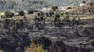 Estabilizado el incendio de Benasau tras quemar 270 hectáreas
