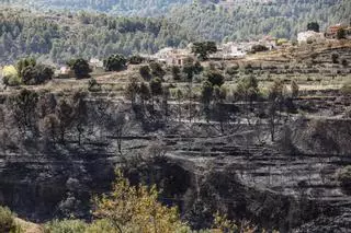 El incendio de Benasau queda estabilizado después de tres días