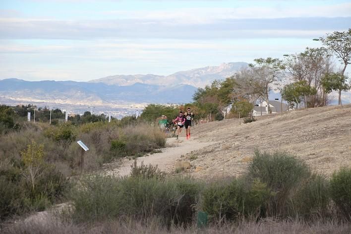 San Jorge Dragon en La Alcayna