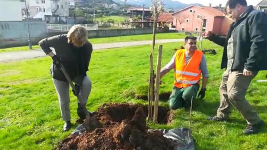 La alcaldesa de Avilés Mariví Monteserín, participa en el acto de plantación de arbolado en terreno de titularidad municipal situado en la zona del Alfaraz