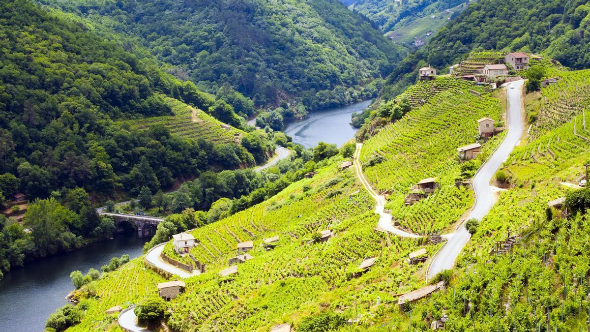 La carretera del cañón del río Sil en Ribeira Sacra