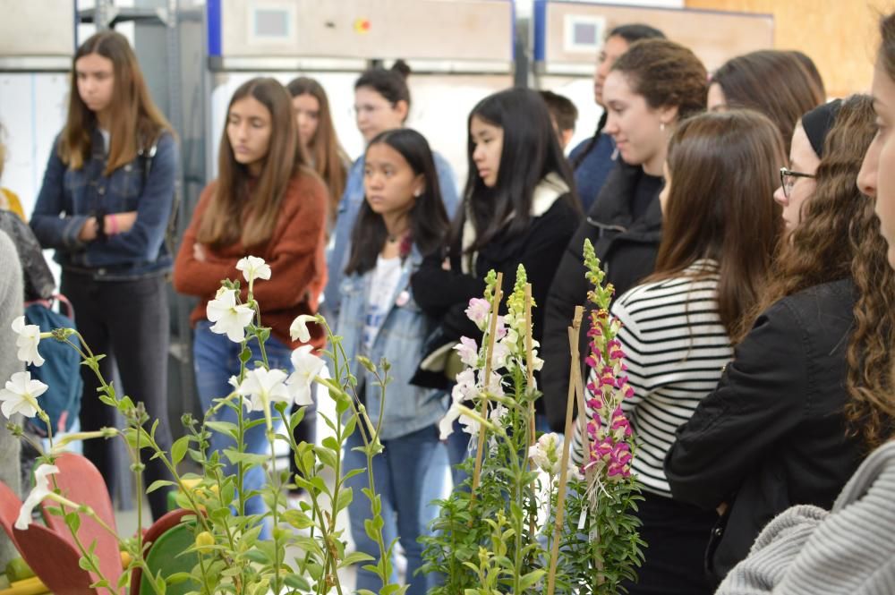 'Quiero ser ingeniera' en la Politécnica