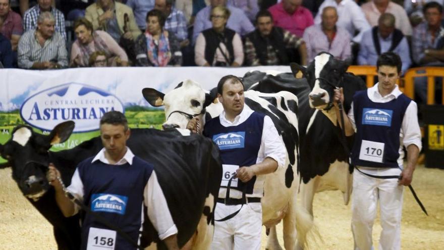 El valor de la Asturias rural