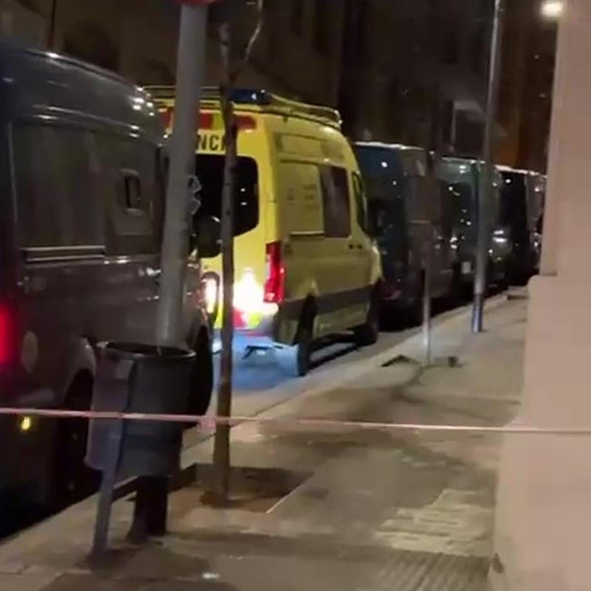 Imagen de la redada del pasado fin de semana captada por un vecino