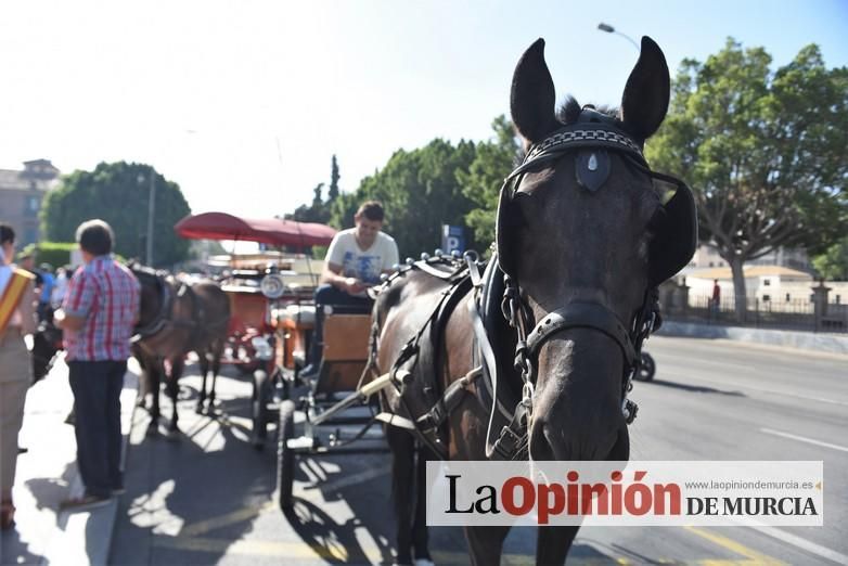 Ruta a caballo desde la ciudad al corazón de la hu