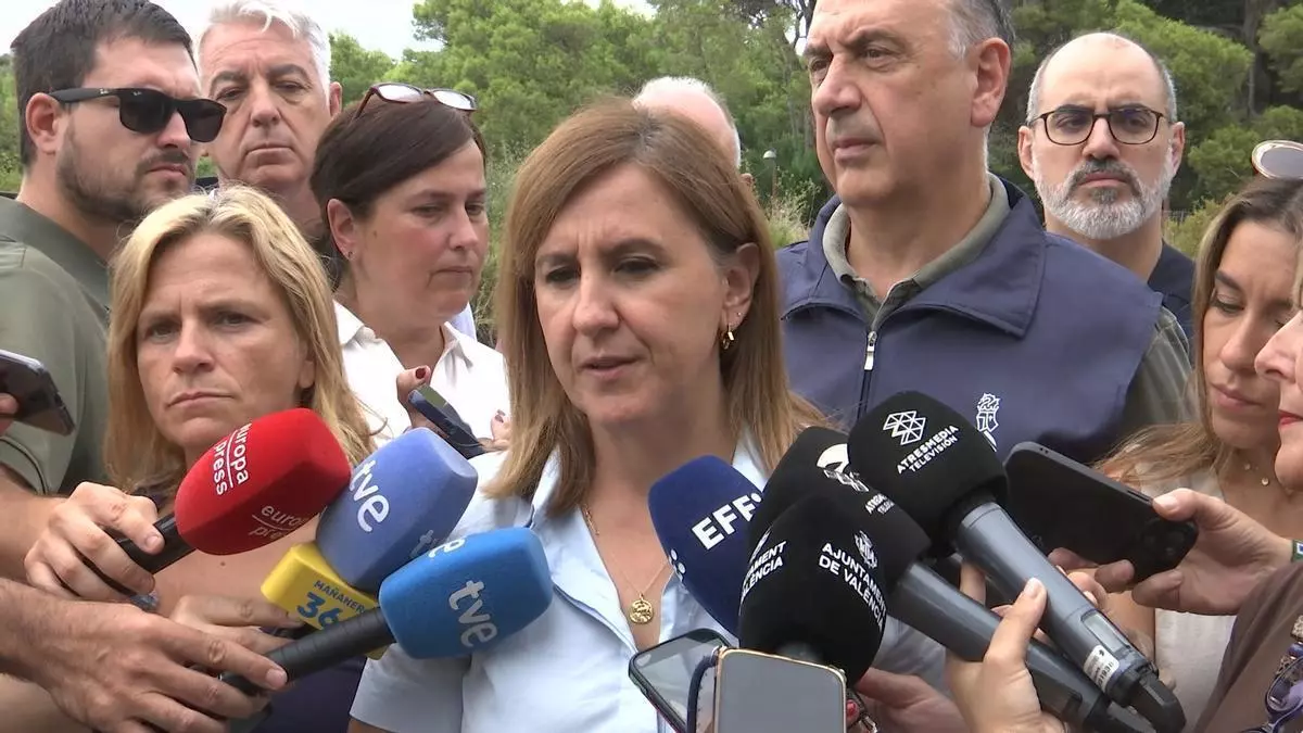 Catalá, a los pirómanos: "Vamos a ir a por ellos"