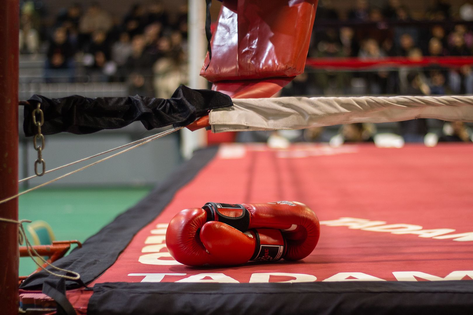GALERIA | El boxeo también fue protagonista en la navidad zamorana