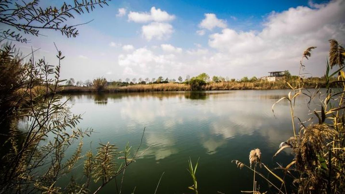 El estanque artificial de Cal Tet, una de las compensaciones ambientales por la ampliación del puerto de Barcelona.