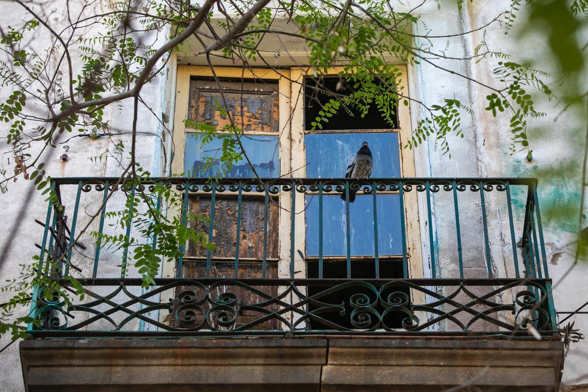 Las palomas toman un bloque abandonado en el casco antiguo de Barcelona