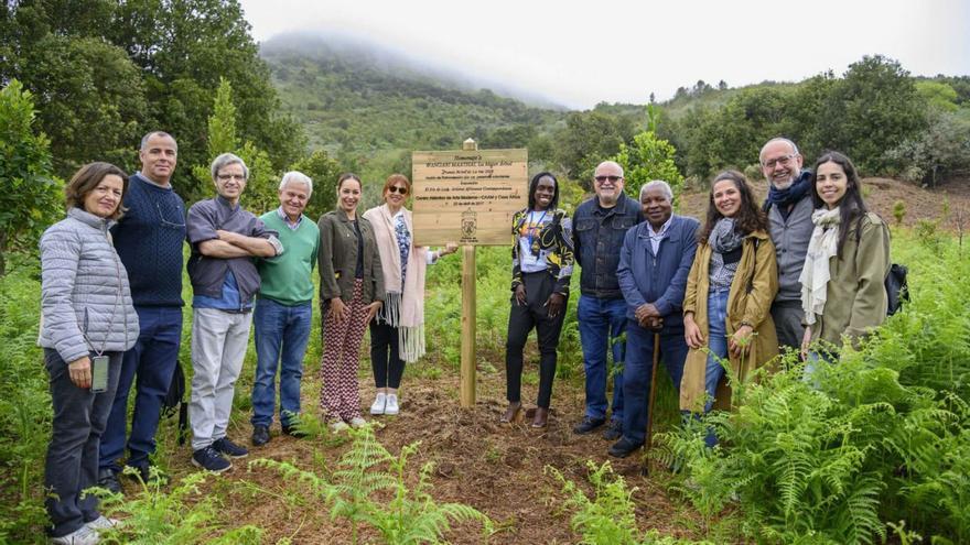 Representantes del CAAM, el Cabildo de Gran Canaria, asociaciones africanas en Canarias y voluntarios.