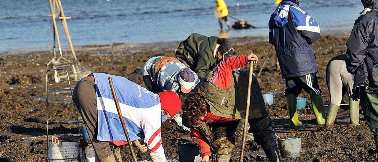 Mariscadoras en Praceres, Lourizán, una imagen que no se ve desde hace cuatro meses.