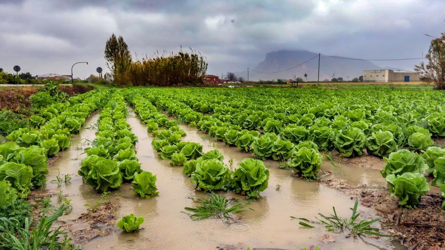 Este marzo ya es el más lluvioso en la Vega Baja desde que se tienen registros con 163 litros por metro cuadrado