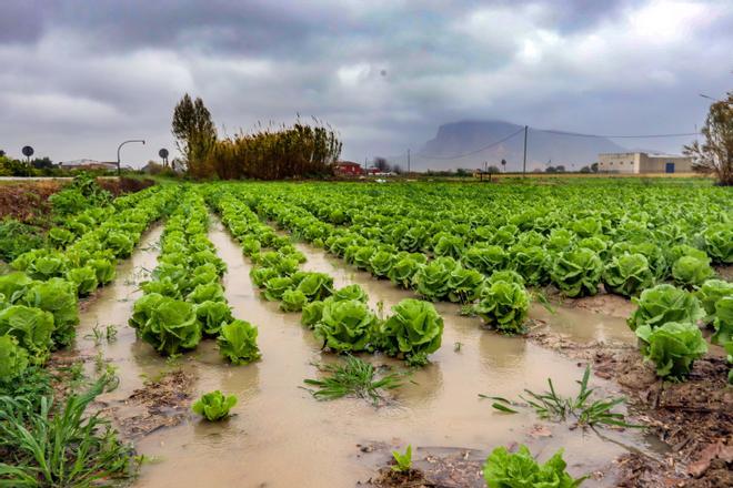 El mes de marzo más lluvioso en la Vega Baja desde que se tienen registros