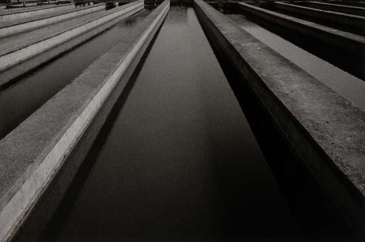 Obra sin título de Rafael navarro sobre l'Albufera.