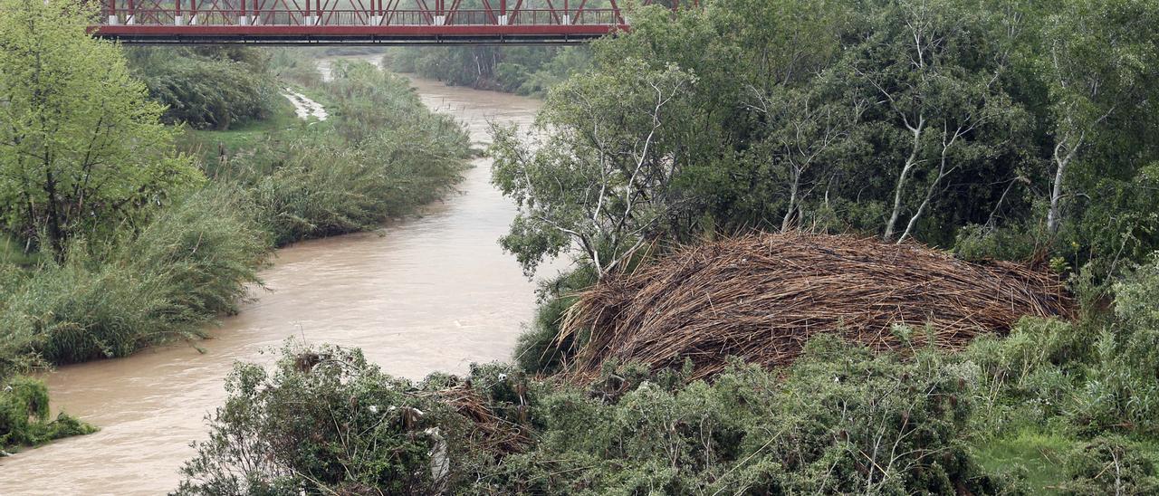 Cañas y plásticos acumualados en el río Xúquer a su paso por Alzira, capital de la Ribera.