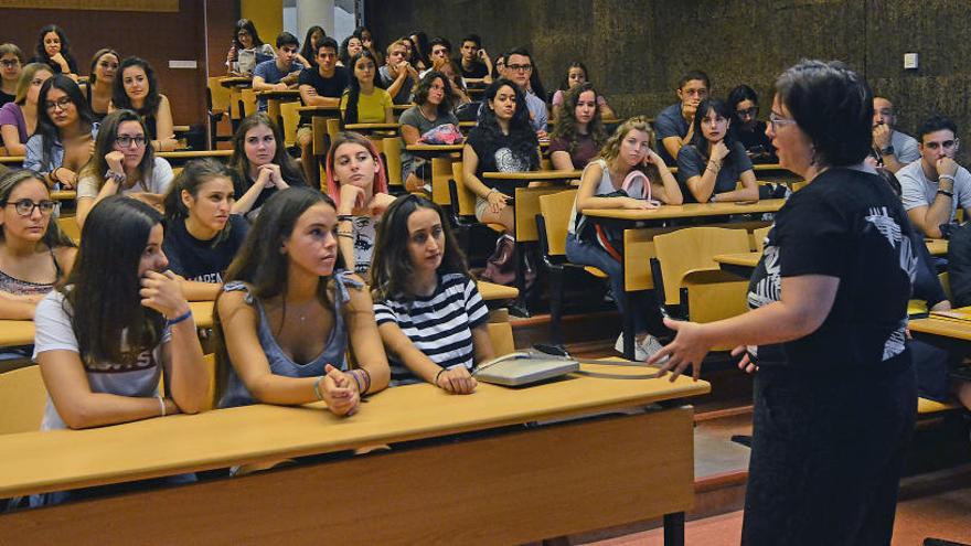 Estudiantes de la Universidad de Elche