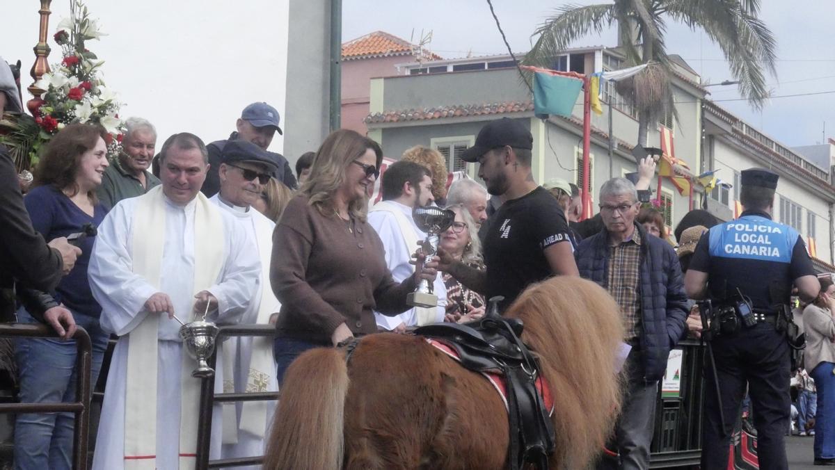 Feria del Ganado en La Matanza en el día grande de San Antonio Abad
