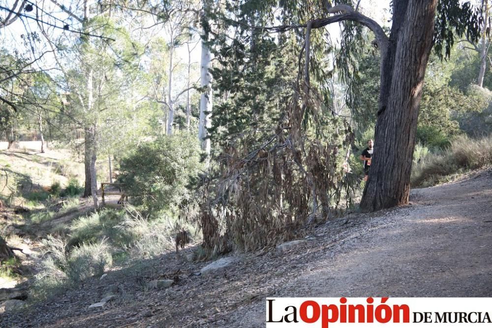 San Jorge Dragon en La Alcayna