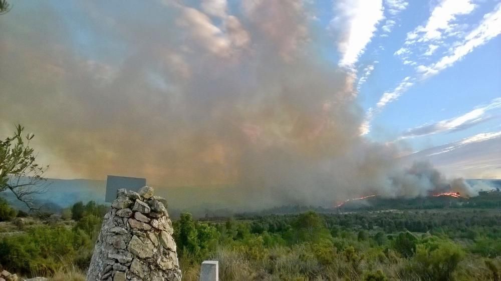 Incendio forestal en Bolbaite