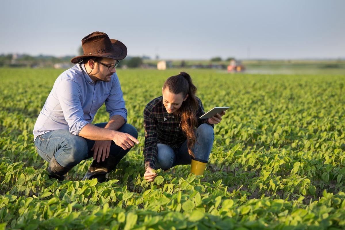 La Cátedra Sipcam busca soluciones para que el sector agrícola pueda superar el reto de la transformación digital