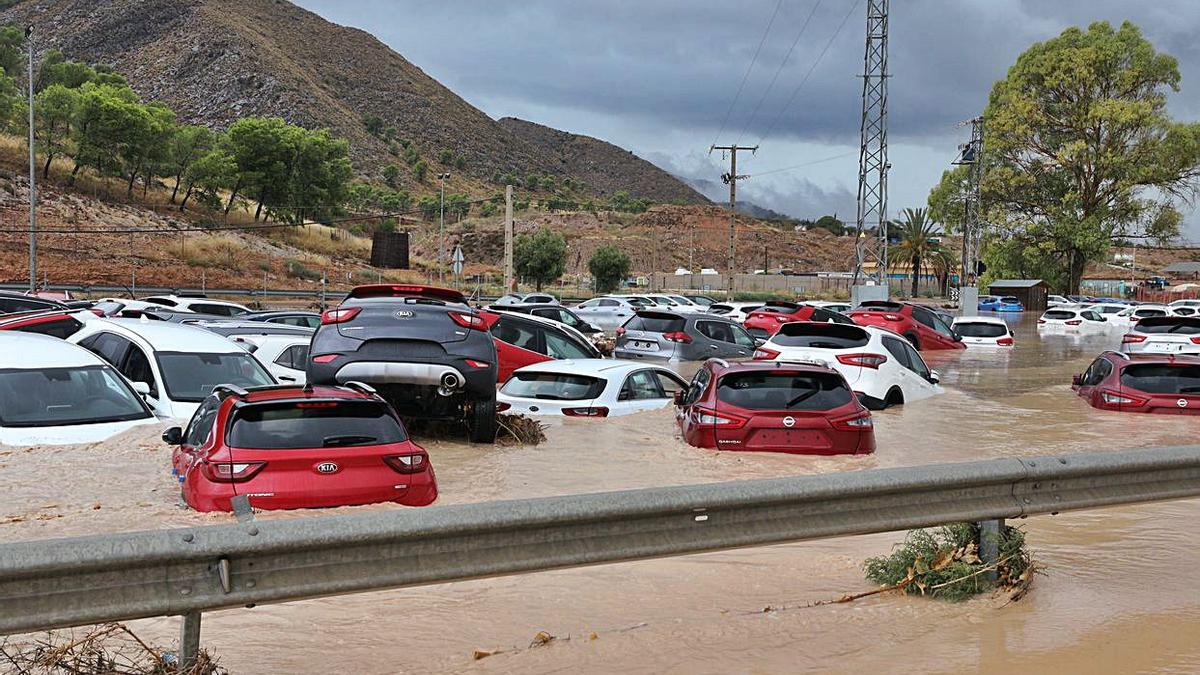 Rambla de Abanilla: La campa de coches se mantiene Señales en Orihuela | A.AMORÓS