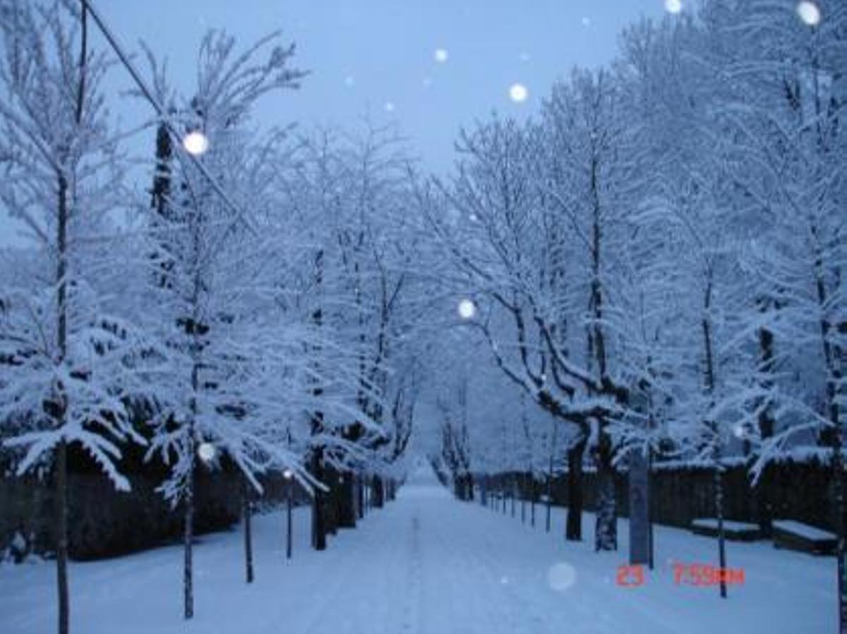 Este fin de semana se espera nieve con entre un 70% y un 85% de probabilidad