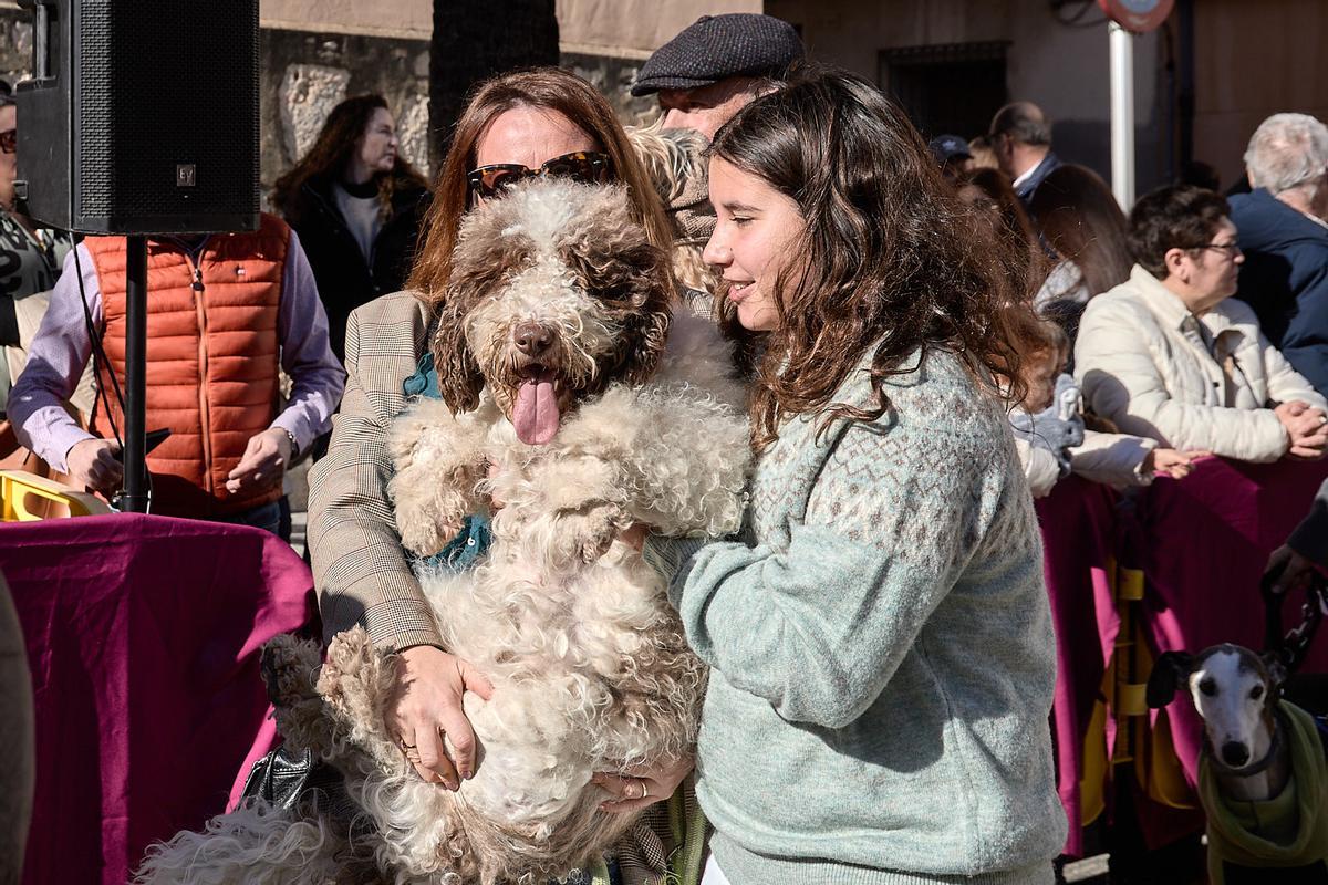 Gran fin de semana en el Porrat de Beniopa con las calles llenas de gente Gran fin de semana en el Porrat de Beniopa con las calles llenas de gente
