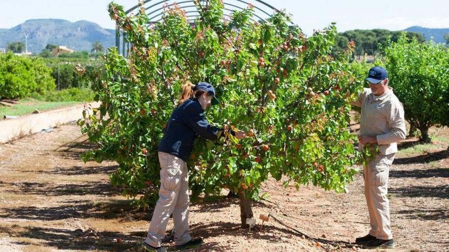 Las cooperativas contribuyen a una sociedad más justa y sostenible