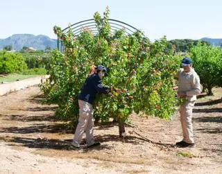 Las cooperativas contribuyen a una sociedad más justa y sostenible