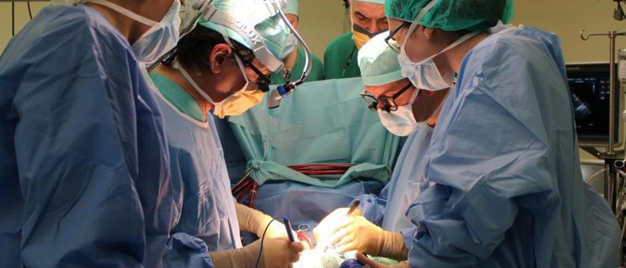 Un equipo quirúrgico, durante una cirugía, en el Hospital Universitario de A Coruña. |   // LOC