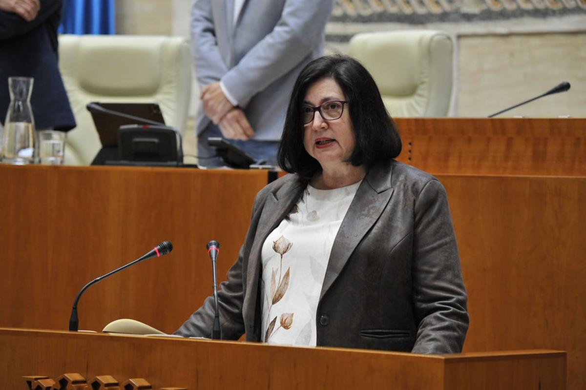 Justa Núñez toma posesión como nueva diputada del PSOE en sustitución de Manuel Borrego.