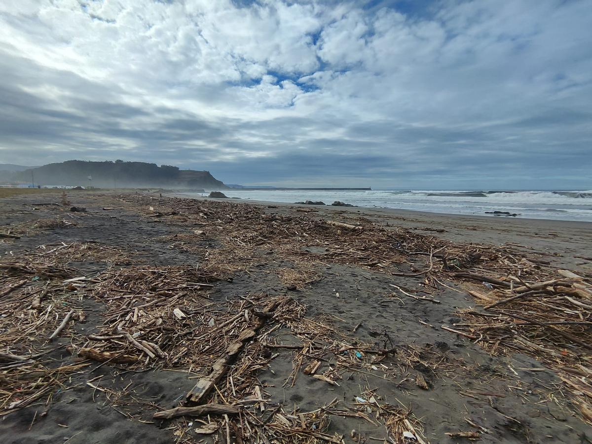 El estado del arenal de Los Quebrantos, en imágenes