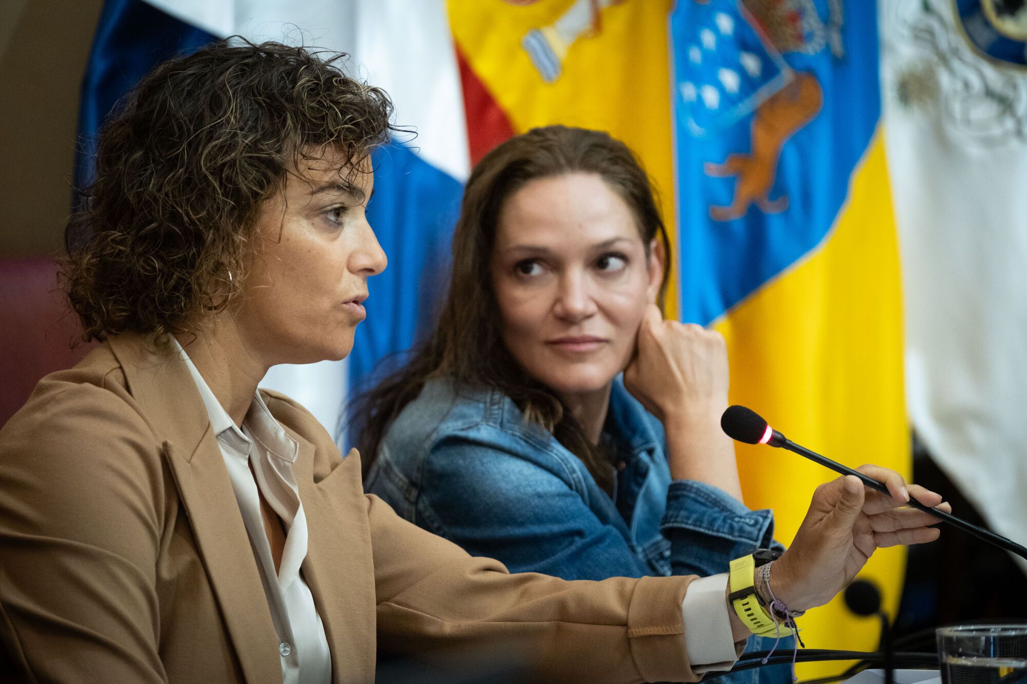 Pleno del Ayuntamiento de Santa Cruz de Tenerife (23.05.2025)