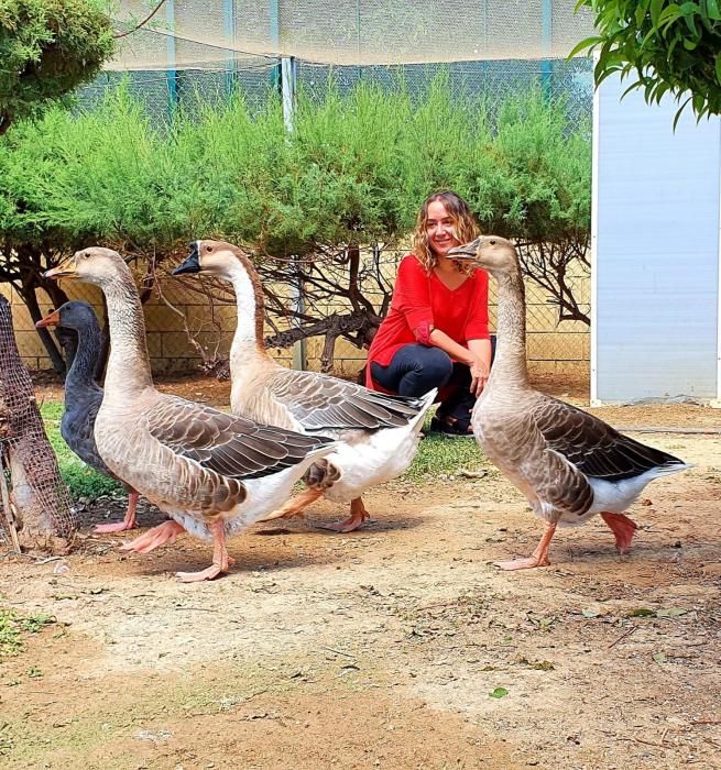 Así es el Centro Municipal de Avifauna de València