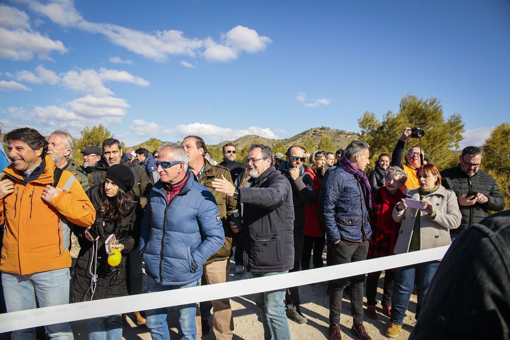 Las imágenes de la llegada de tres ejemplares de lince ibérico a las montañas de Lorca