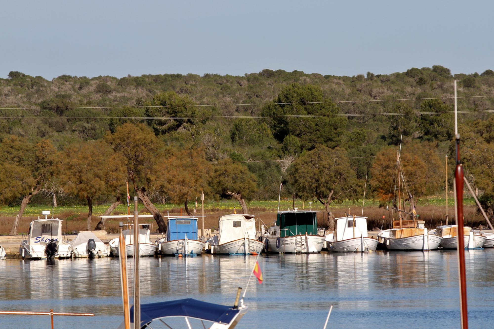 Besonderes Leuchten: So einzigartig ist das Licht von Mallorca