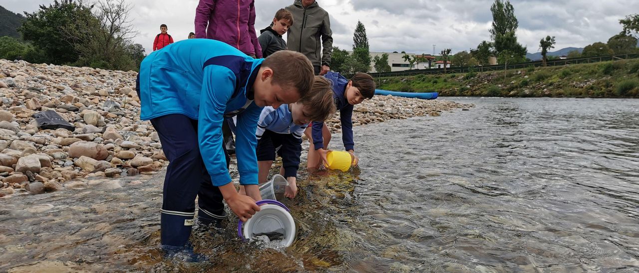 Niños, repoblando el Sella, en una campaña de 2019.