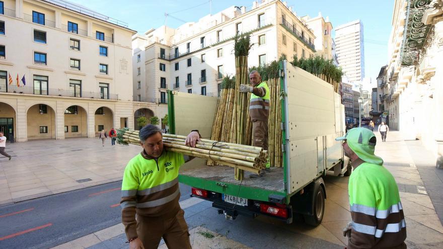 Las cañas de Santa Faz llegan al Ayuntamiento de Alicante