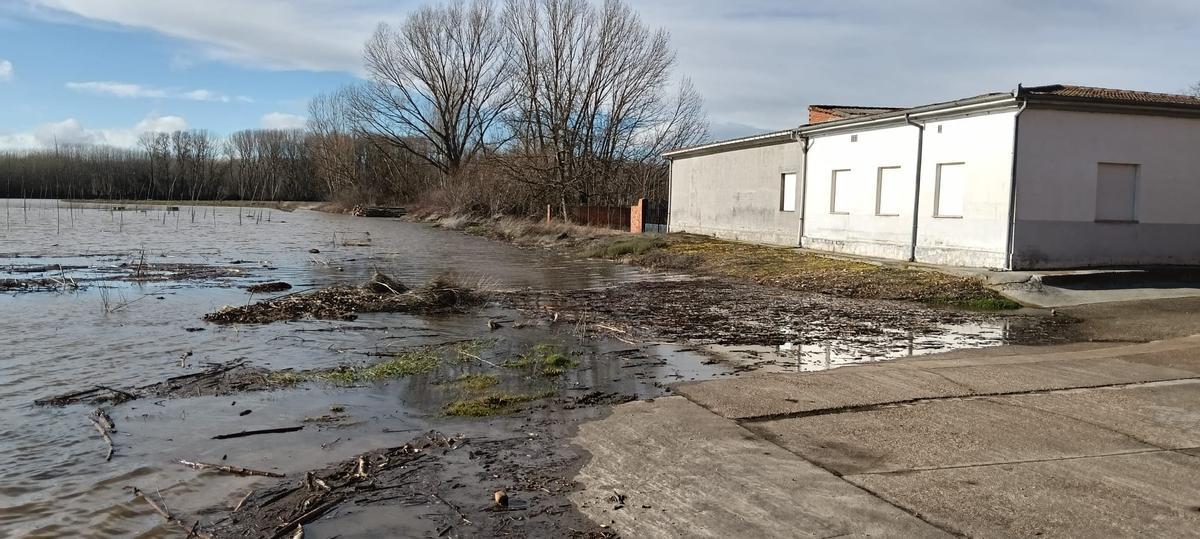 La crecida del Órbigo, a las puertas de las viviendas en Vecilla de la Polvorosa.