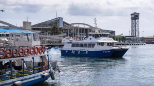 Dos de las embarcaciones de las Golondrinas, este miércoles en el puerto.