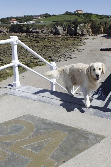 Gijón se promociona como destino vacacional para familias con sus mascotas