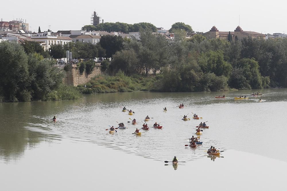 Fotogalería / Ruta del Caimán por el río Guadalquivir.