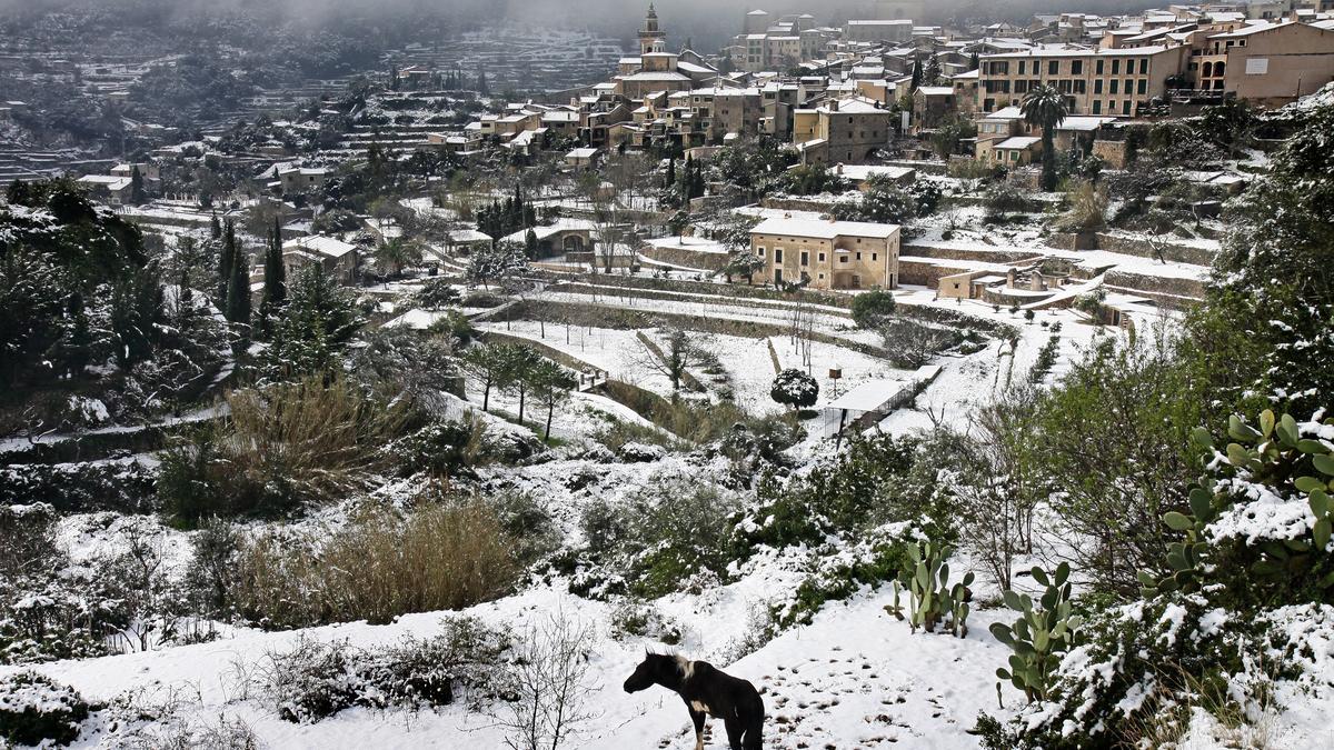 Nieve en Valldemosa